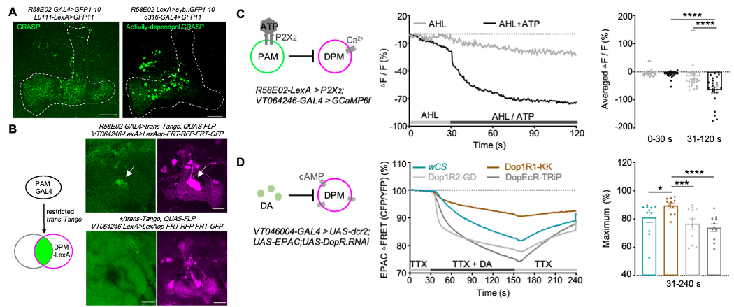 beat365在线体育app