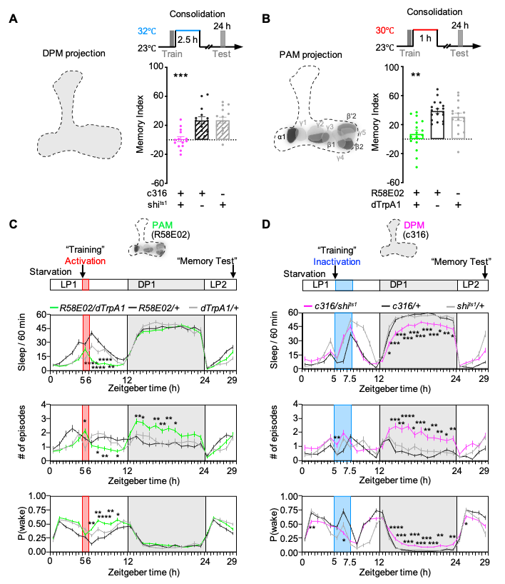 beat365在线体育app