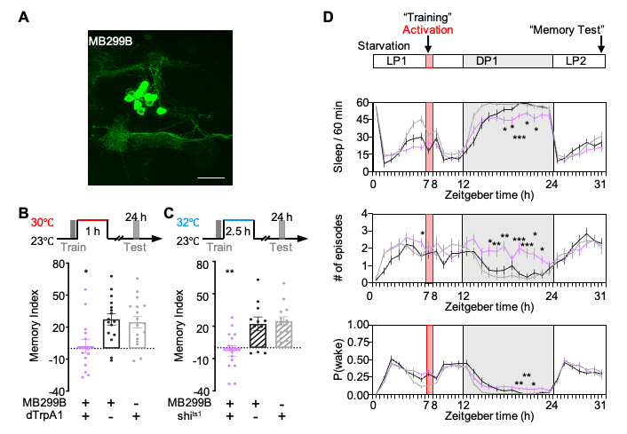 beat365在线体育app