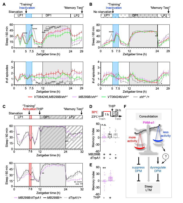 beat365在线体育app