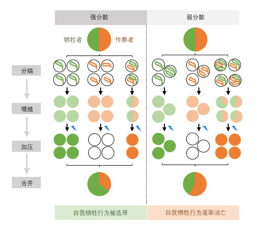 beat365在线体育app