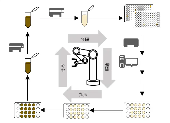 beat365在线体育app