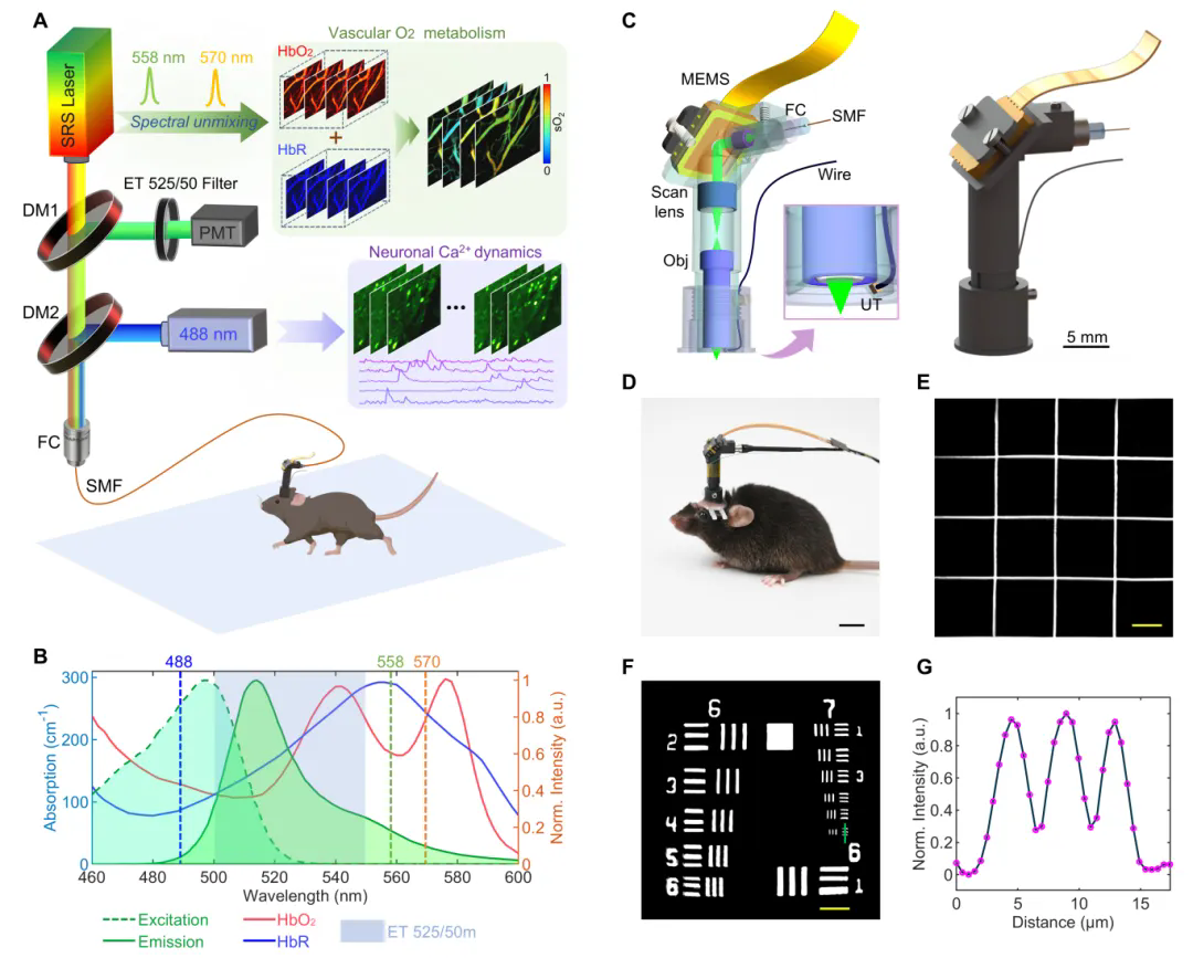 beat365在线体育app