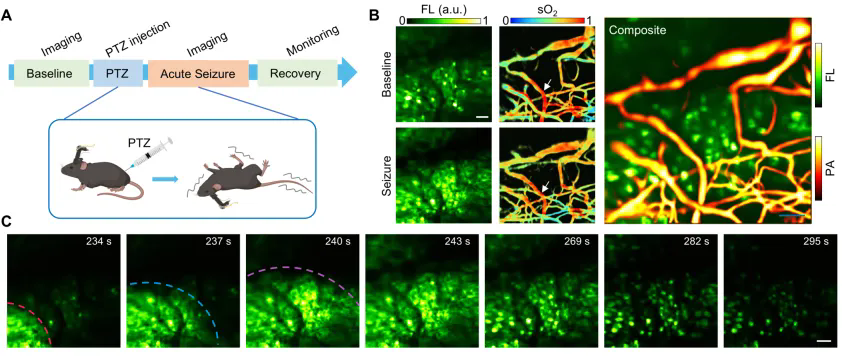 beat365在线体育app