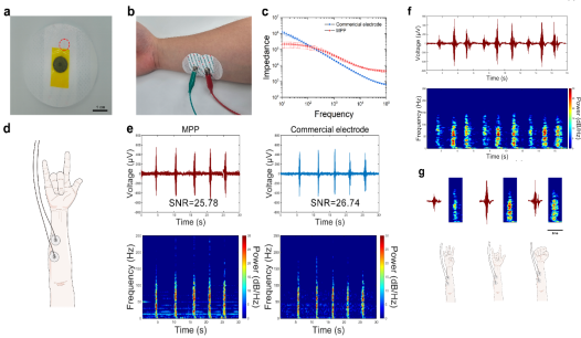beat365在线体育app