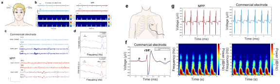 beat365在线体育app