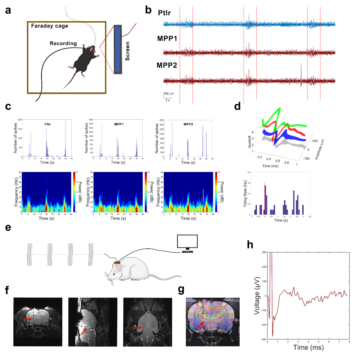 beat365在线体育app