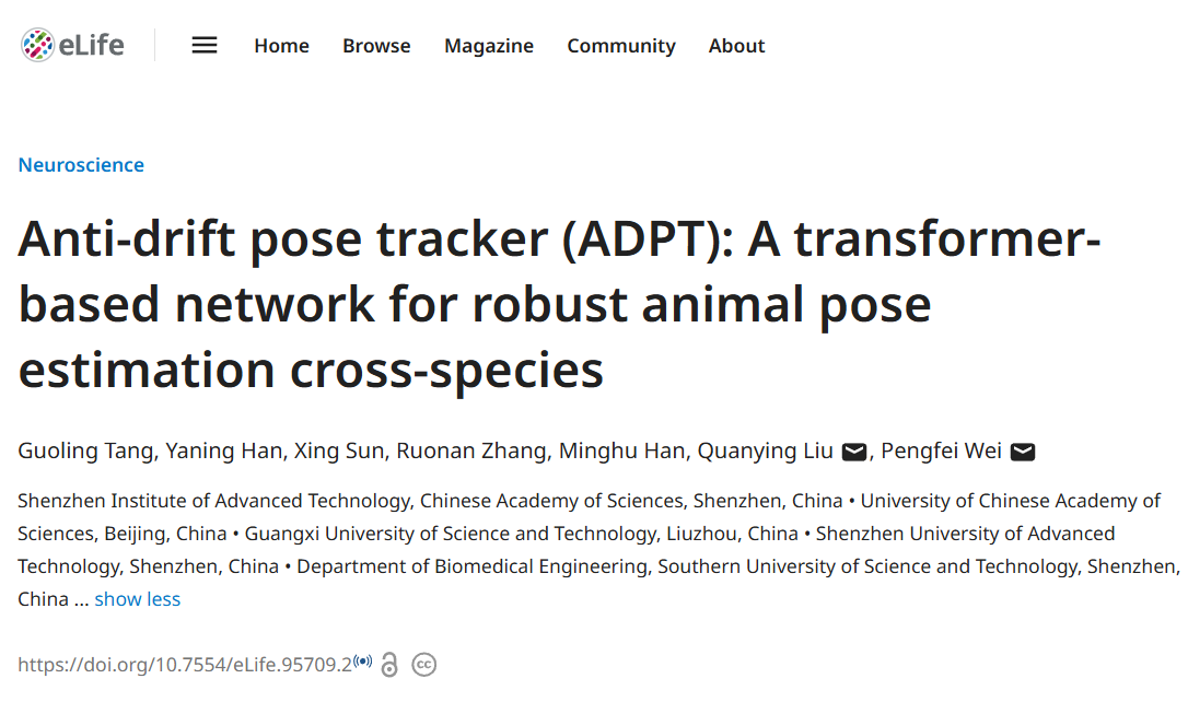 beat365在线体育app