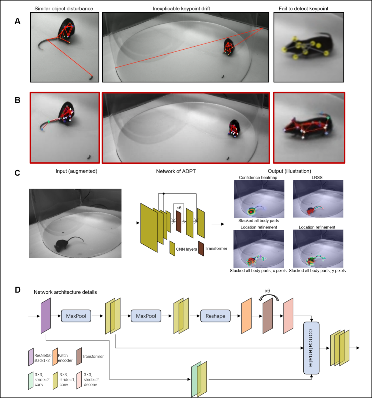 beat365在线体育app