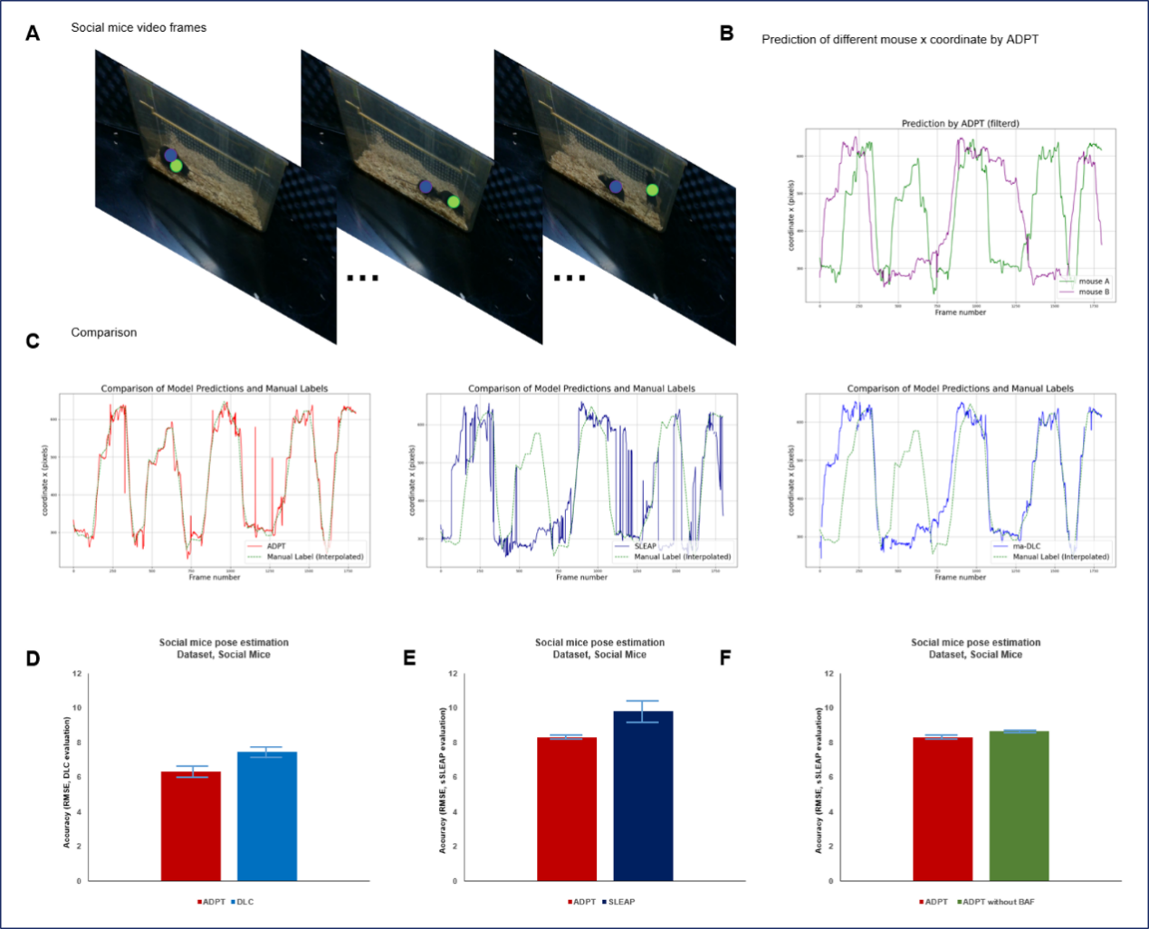 beat365在线体育app