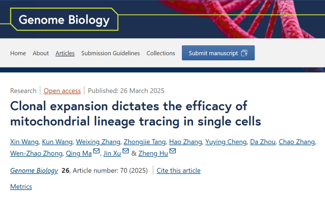 beat365在线体育app