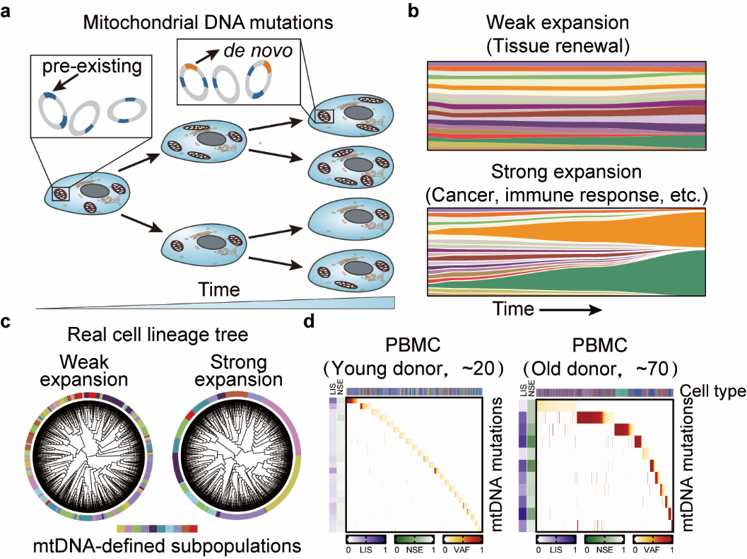 beat365在线体育app
