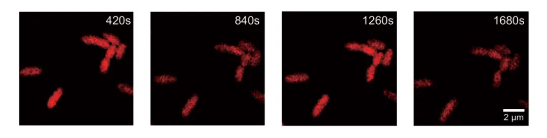 beat365在线体育app