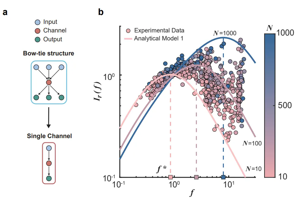 beat365在线体育app