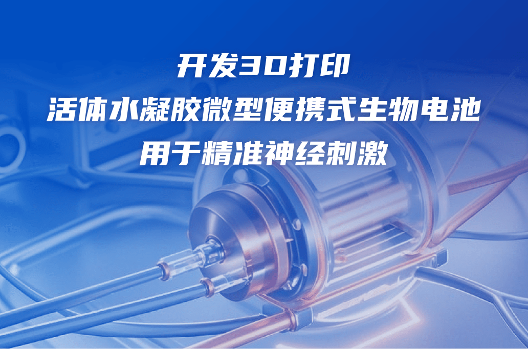 beat365在线体育app