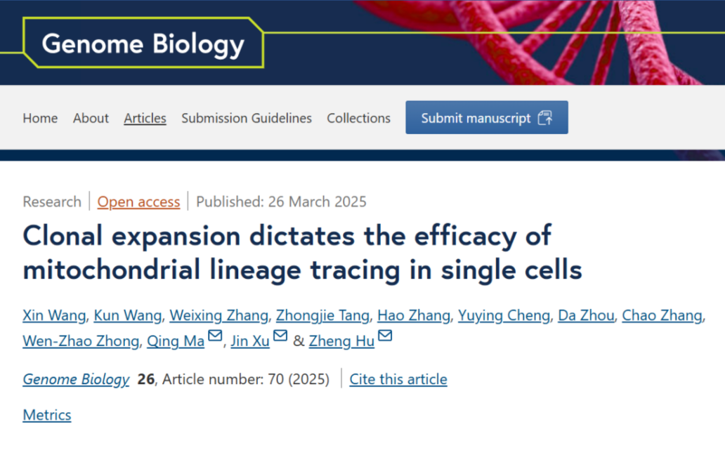 beat365在线体育app