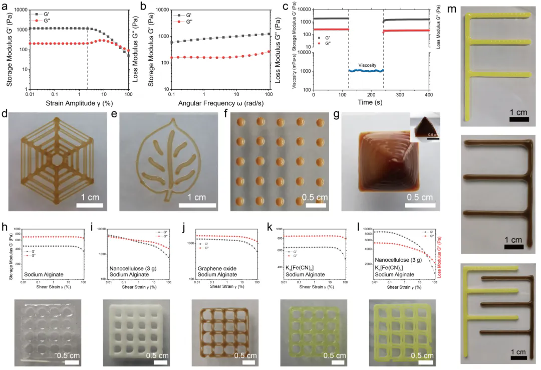 beat365在线体育app