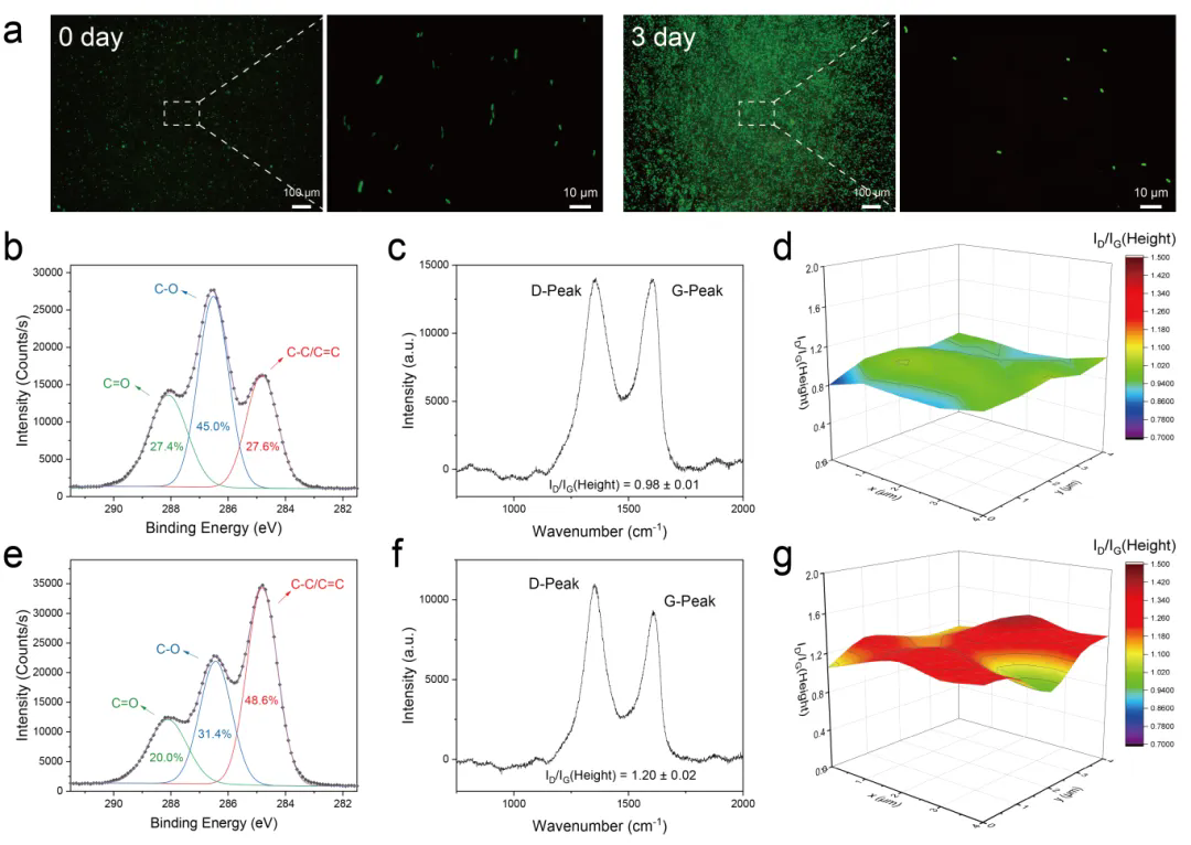 beat365在线体育app