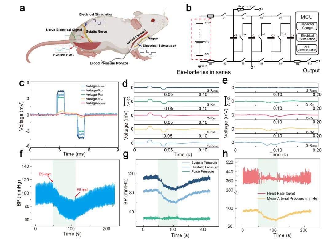 beat365在线体育app