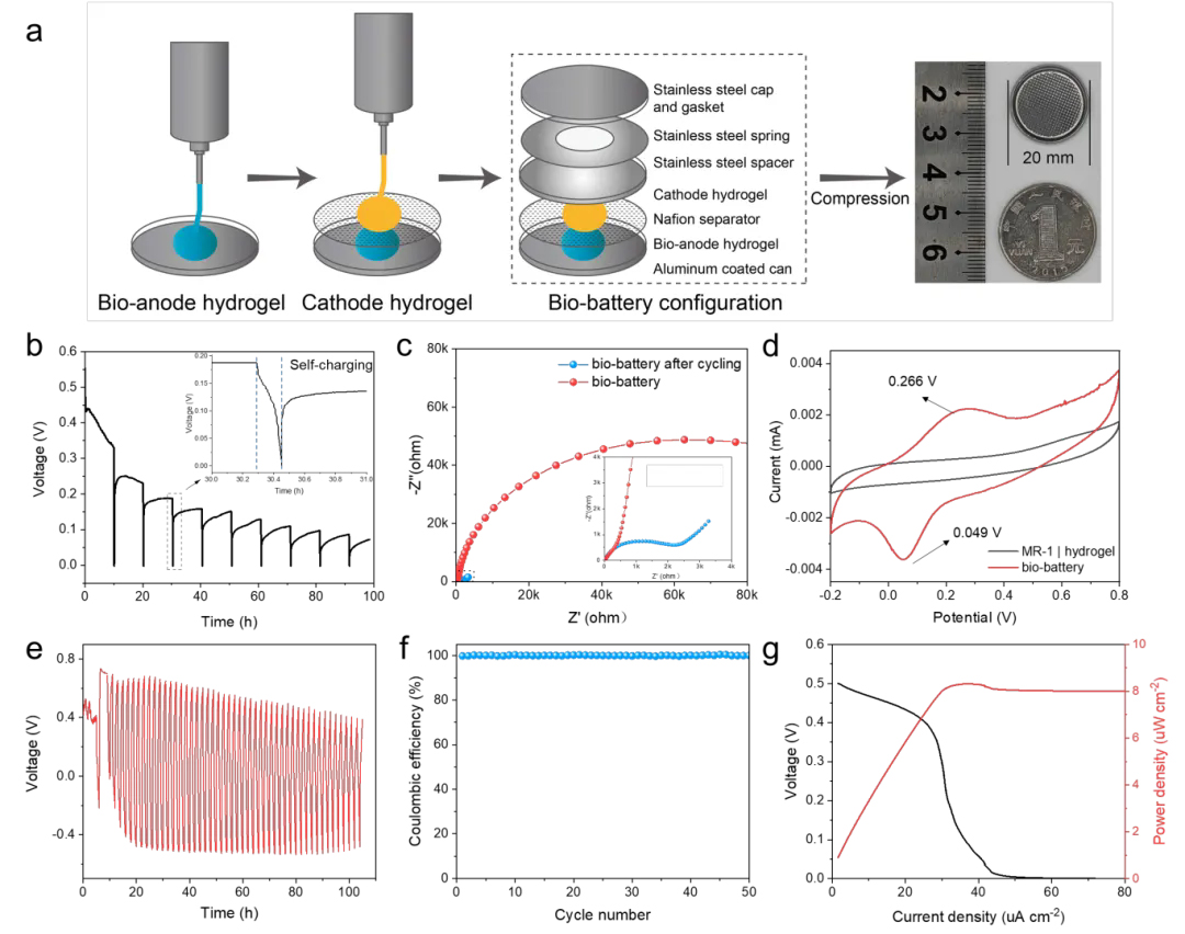 beat365在线体育app
