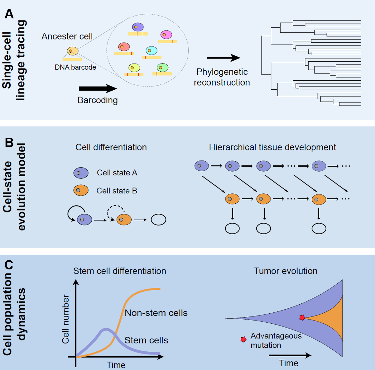 beat365在线体育app