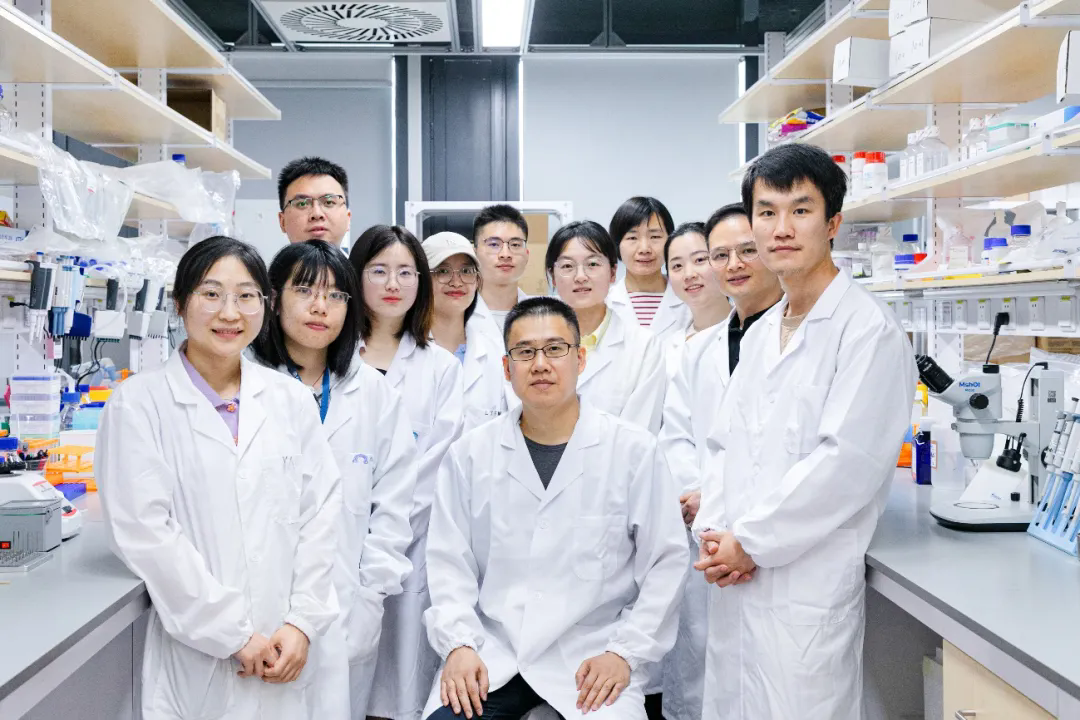 beat365在线体育app