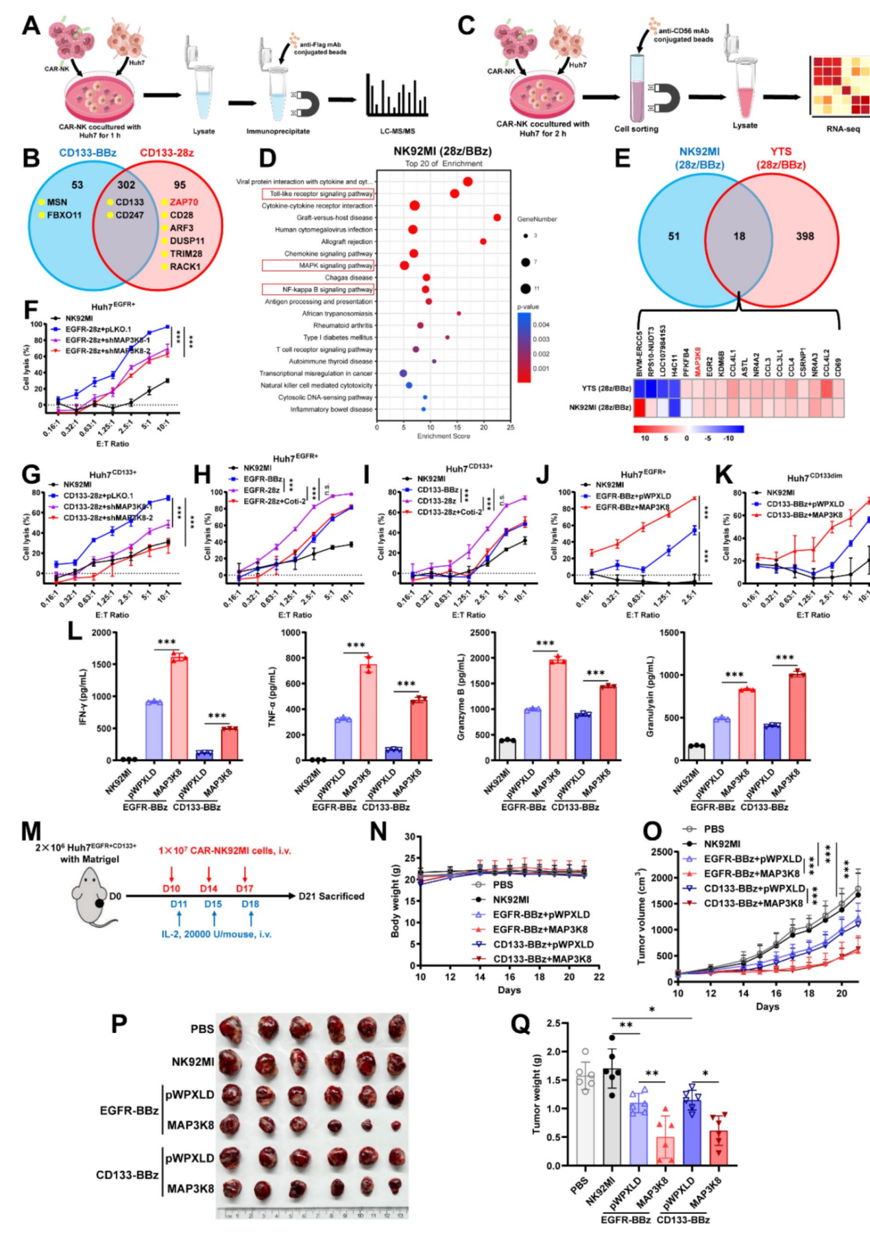 beat365在线体育app