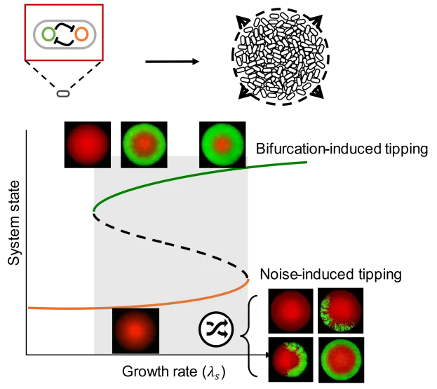 beat365在线体育app