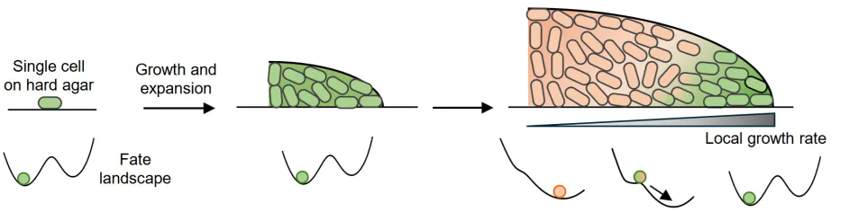 beat365在线体育app