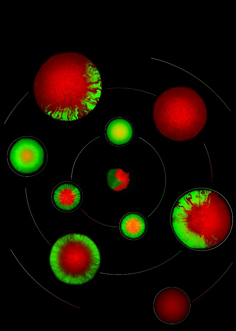 beat365在线体育app