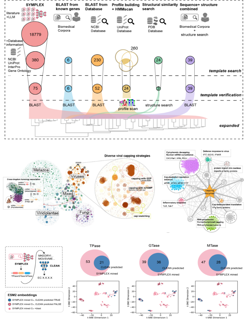 beat365在线体育app