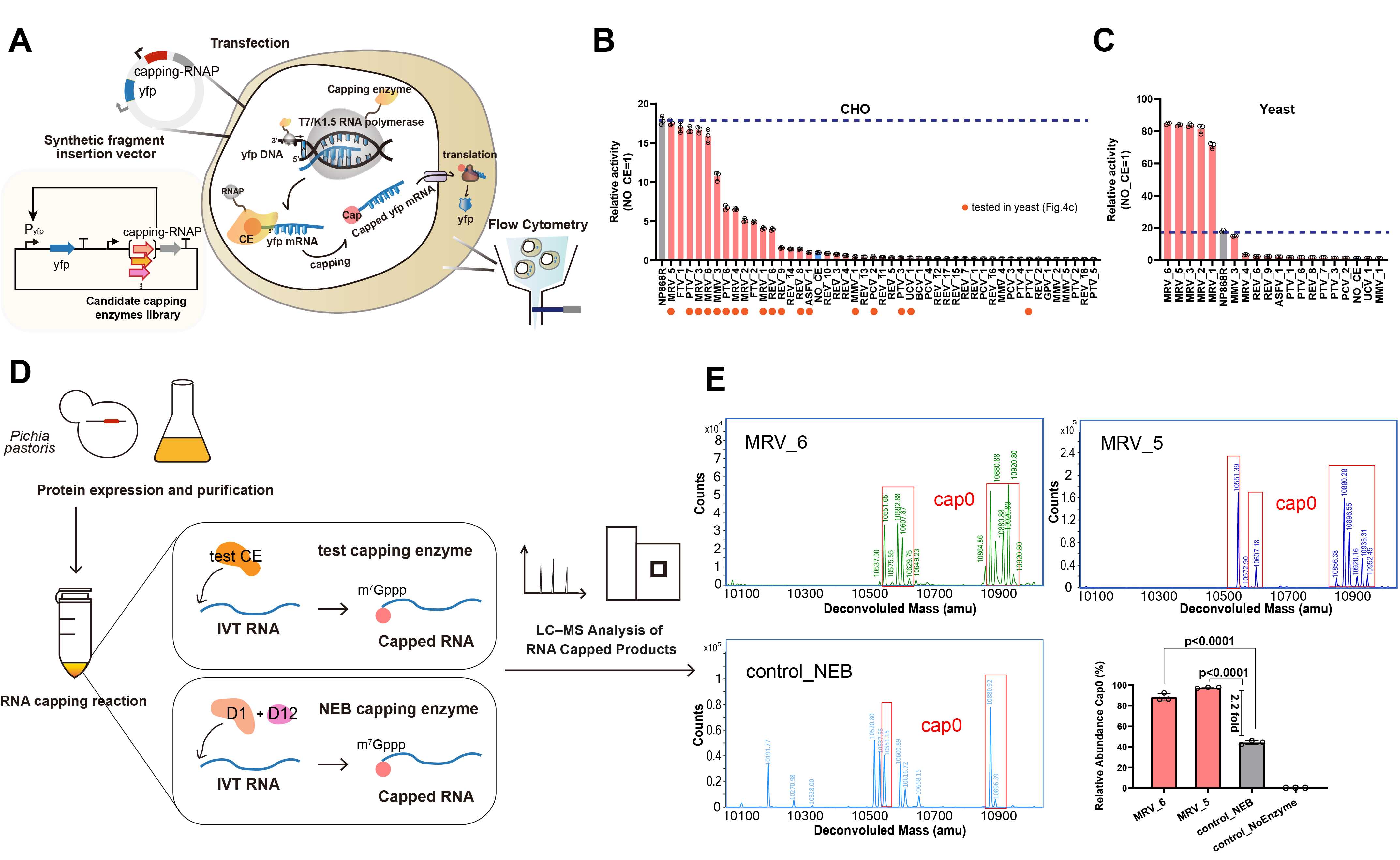beat365在线体育app