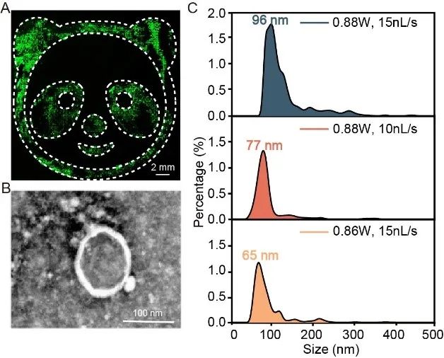 beat365在线体育app