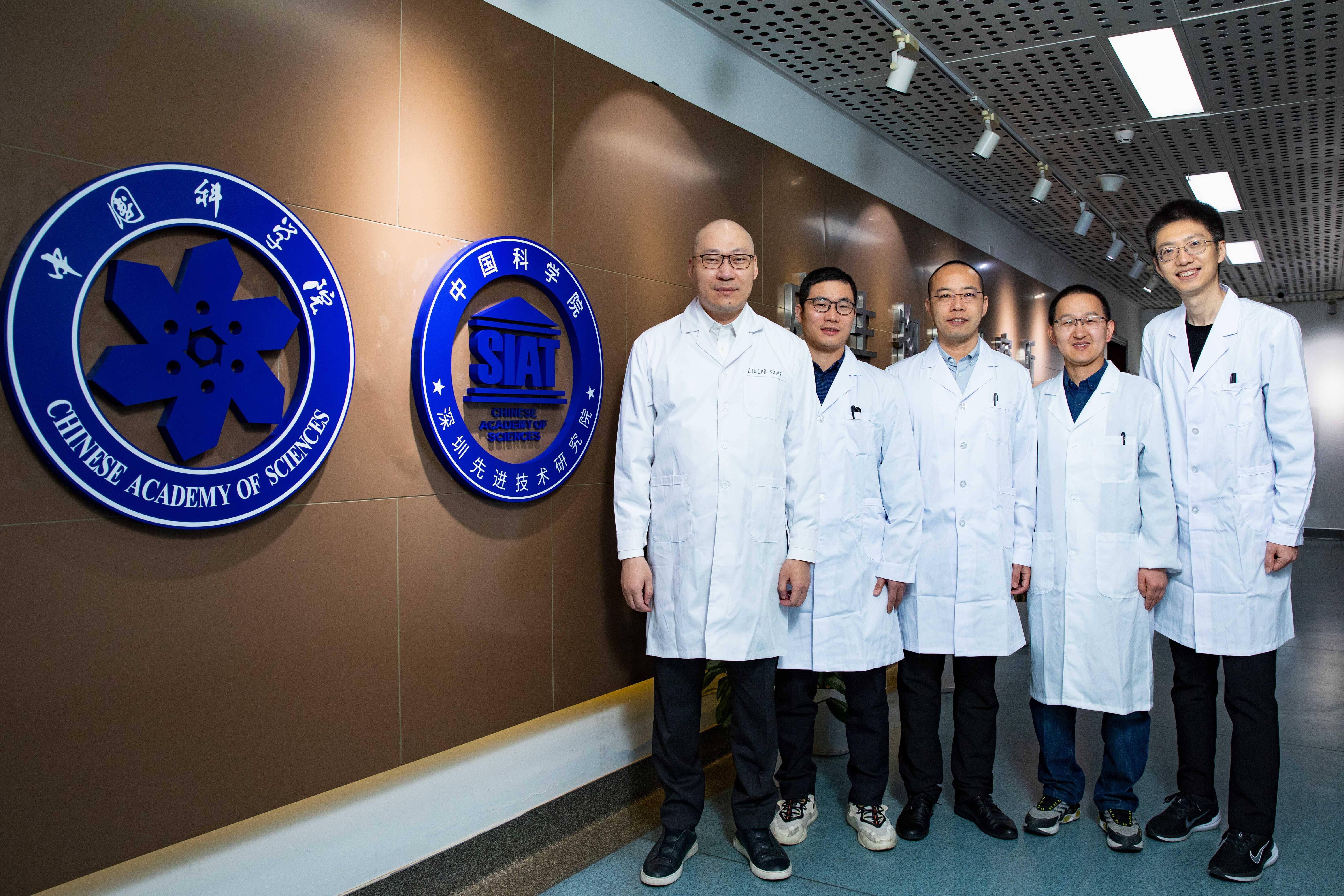 beat365在线体育app