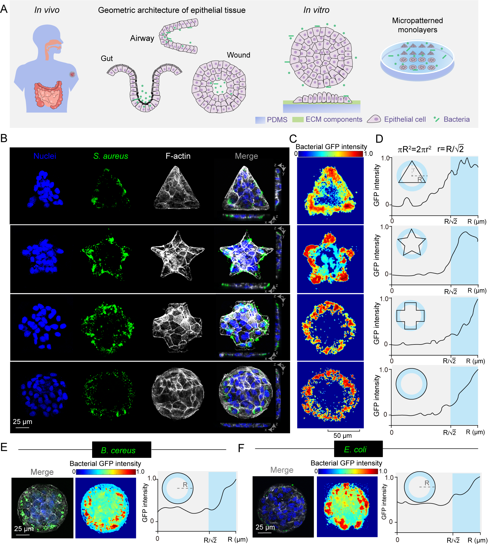 beat365在线体育app