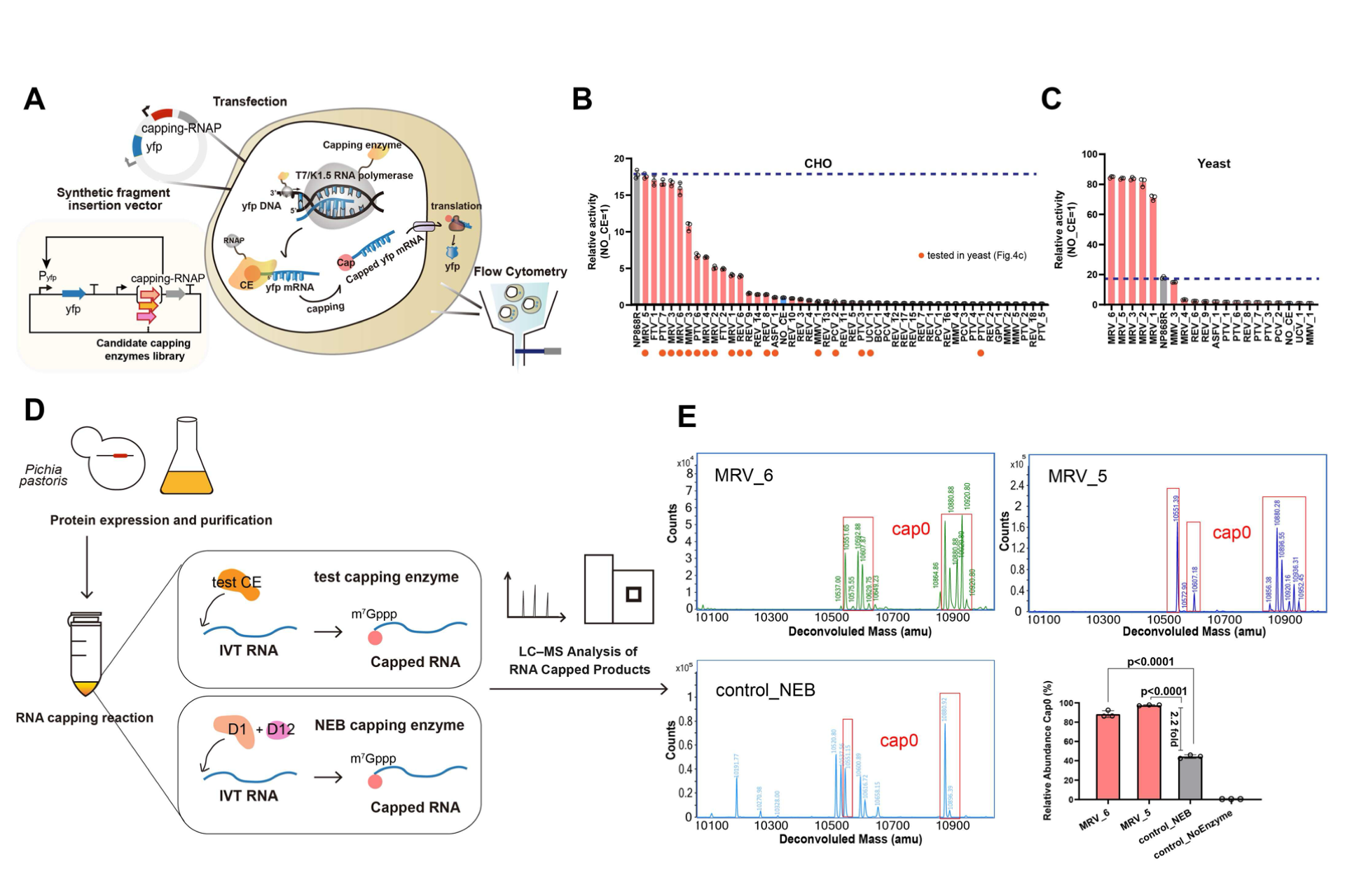 beat365在线体育app