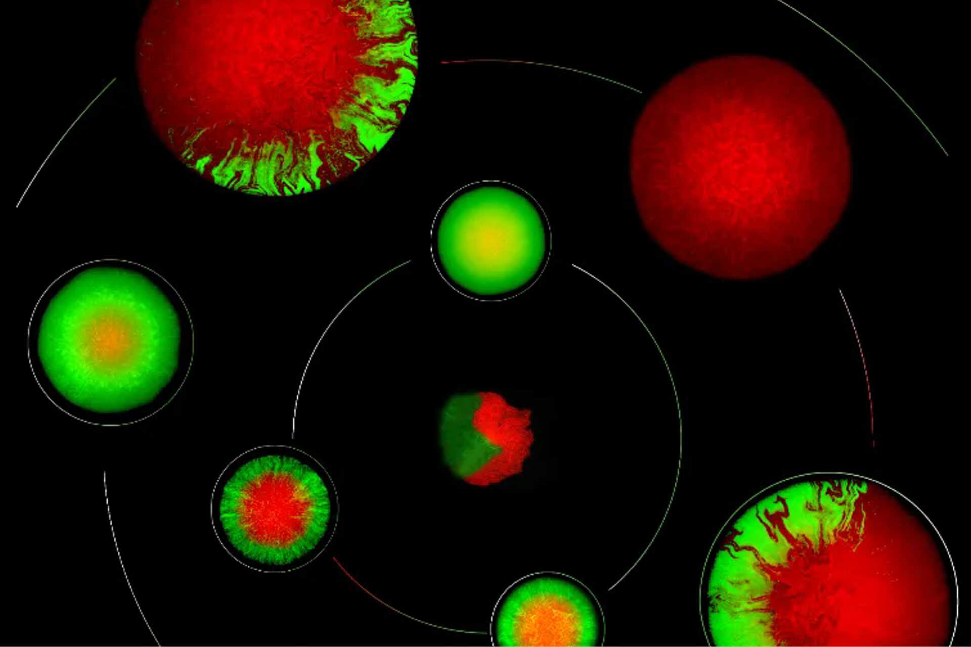 beat365在线体育app