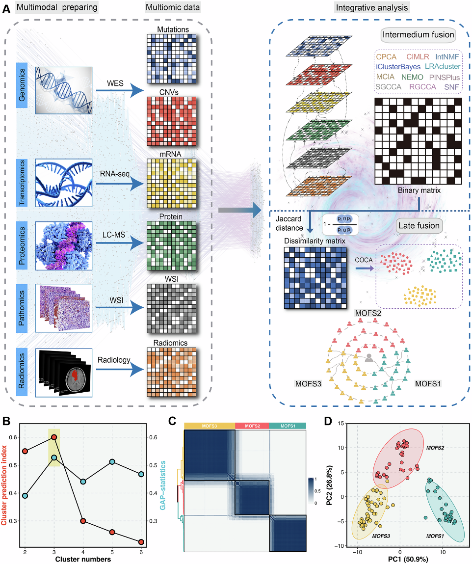 beat365在线体育app