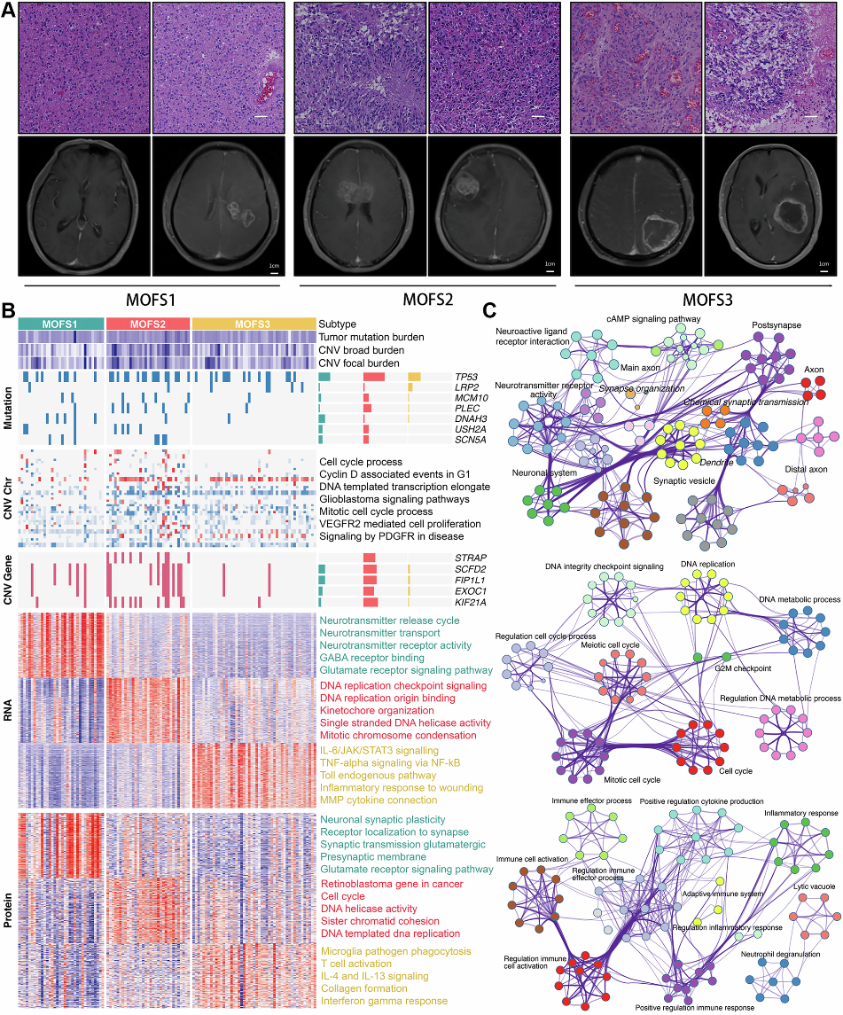 beat365在线体育app