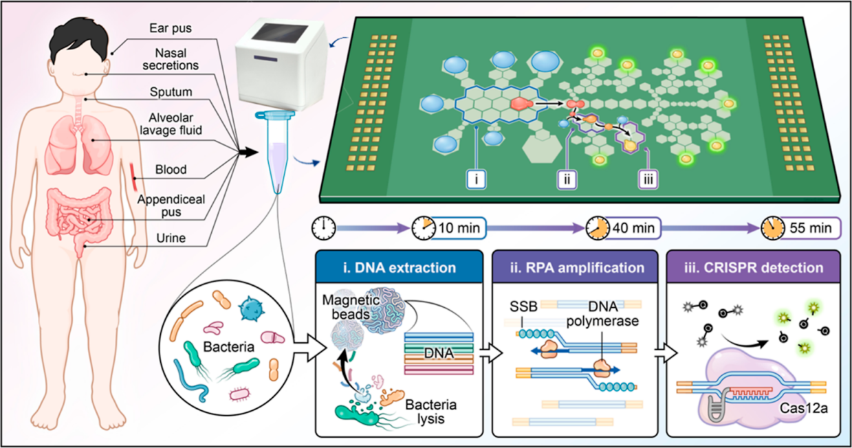 beat365在线体育app