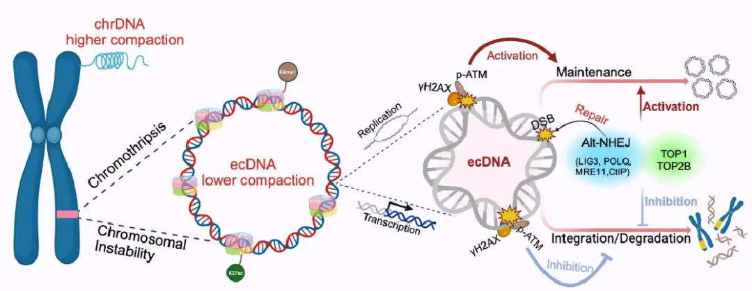 beat365在线体育app