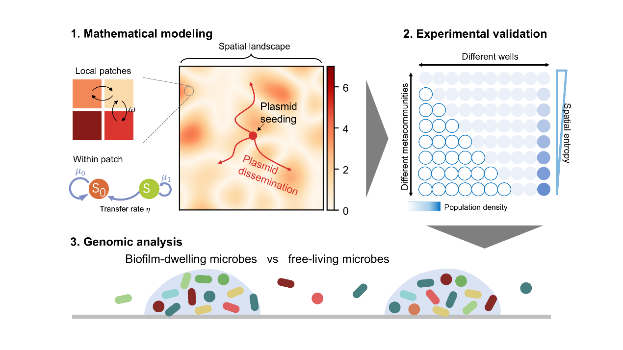 beat365在线体育app