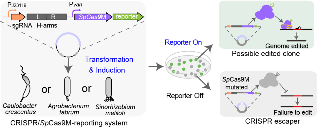 beat365在线体育app