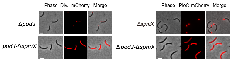 beat365在线体育app