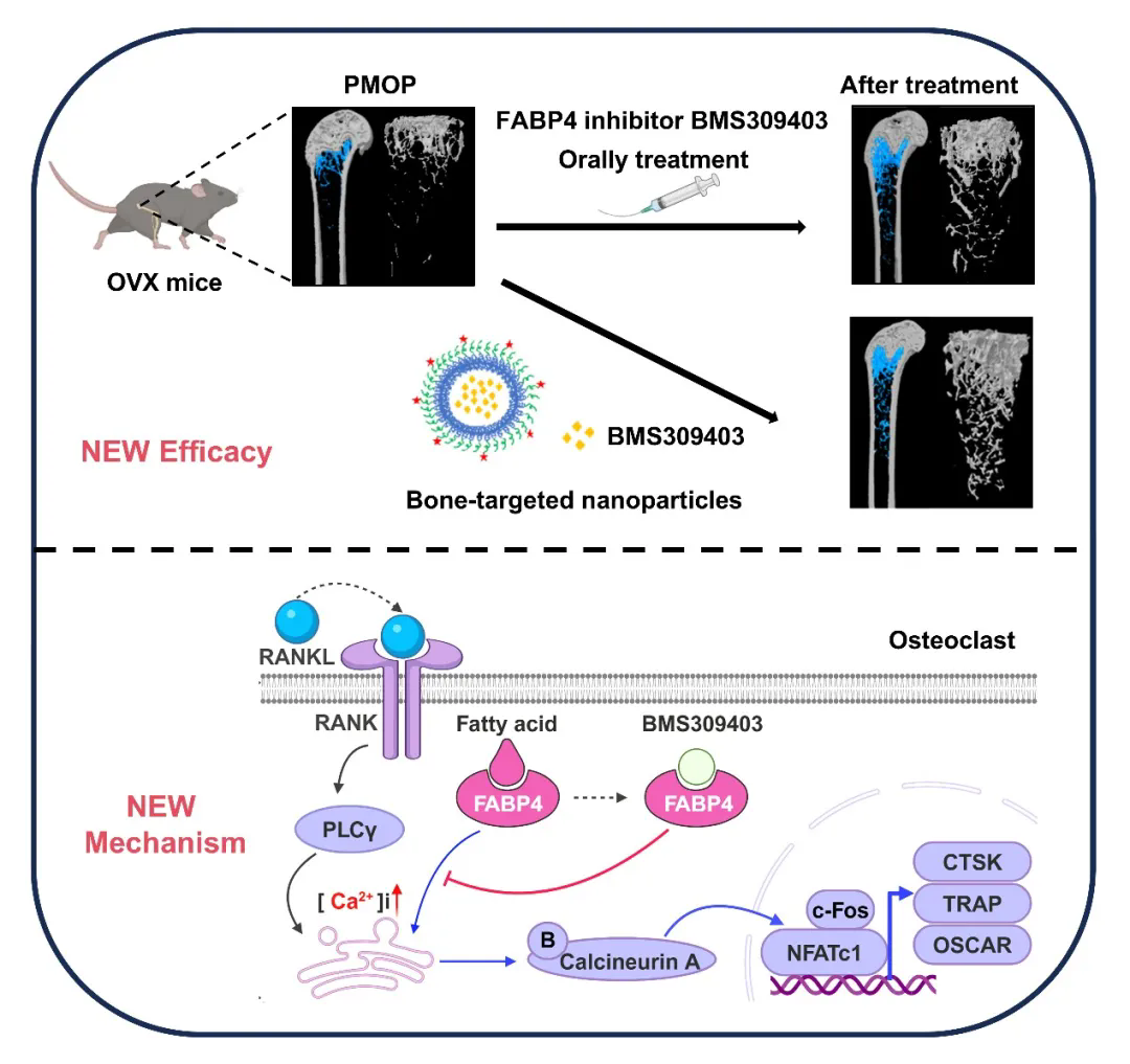 beat365在线体育app