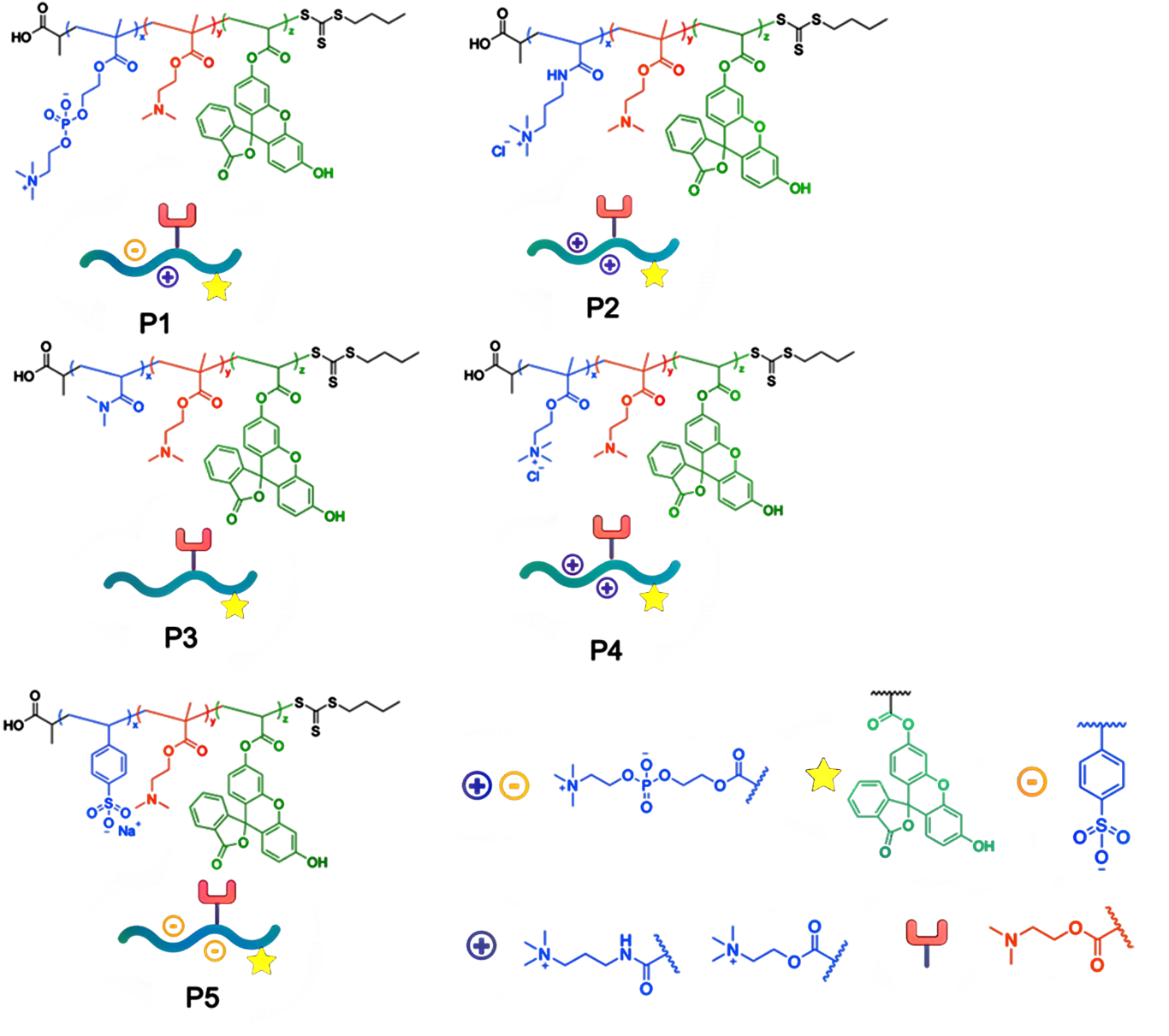 beat365在线体育app