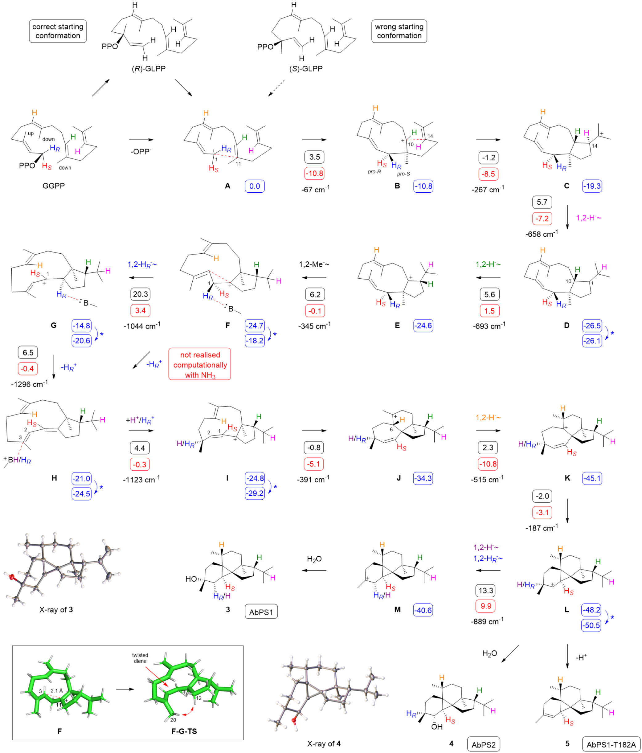 beat365在线体育app