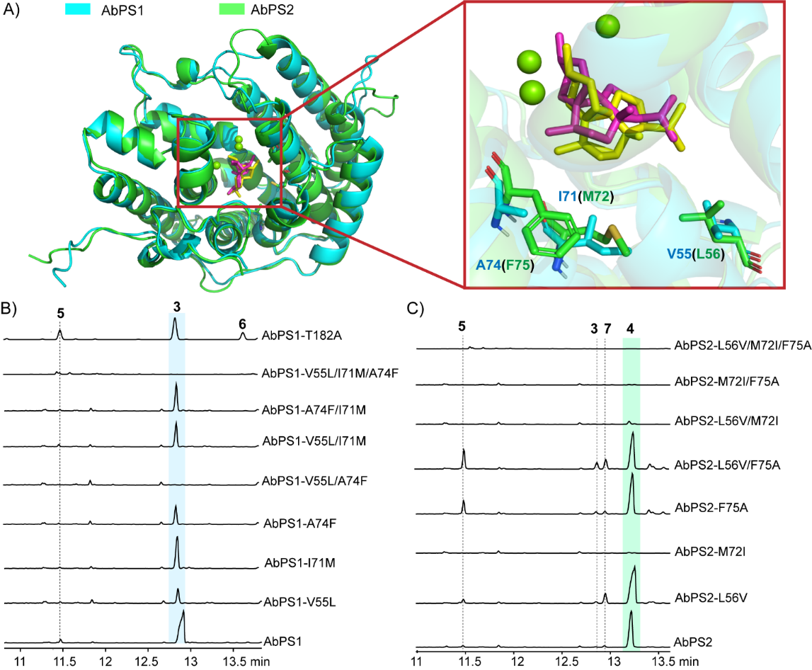 beat365在线体育app