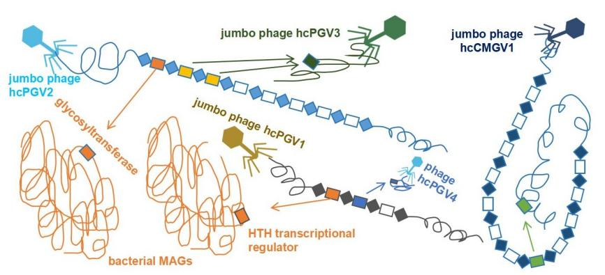 beat365在线体育app