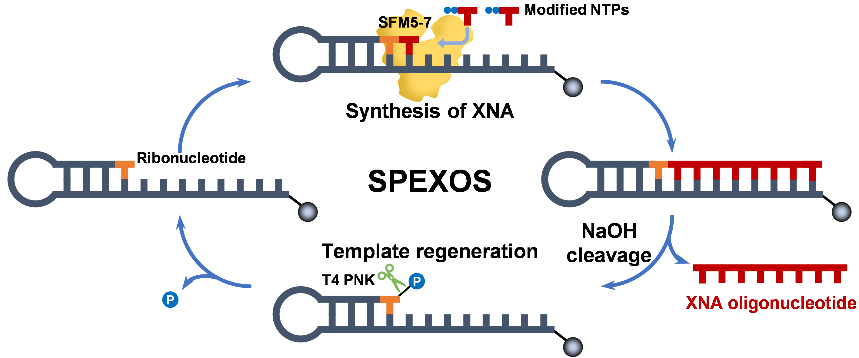 beat365在线体育app